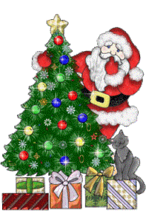 Sapins noel 003